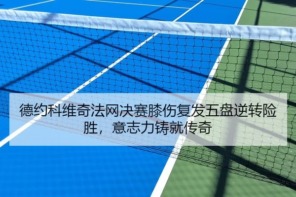 德约科维奇法网决赛膝伤复发五盘逆转险胜，意志力铸就传奇