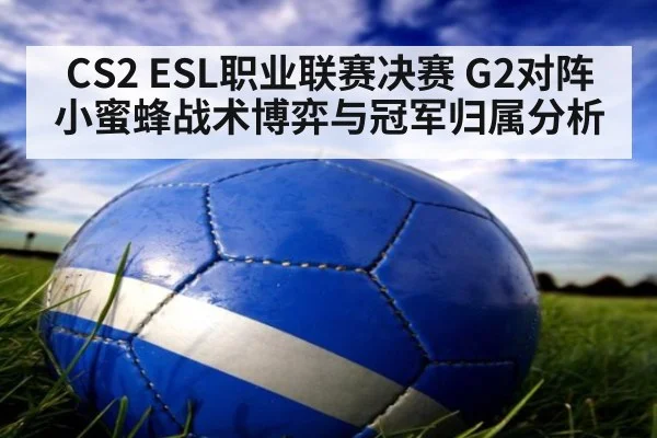 CS2 ESL职业联赛决赛 G2对阵小蜜蜂战术博弈与冠军归属分析