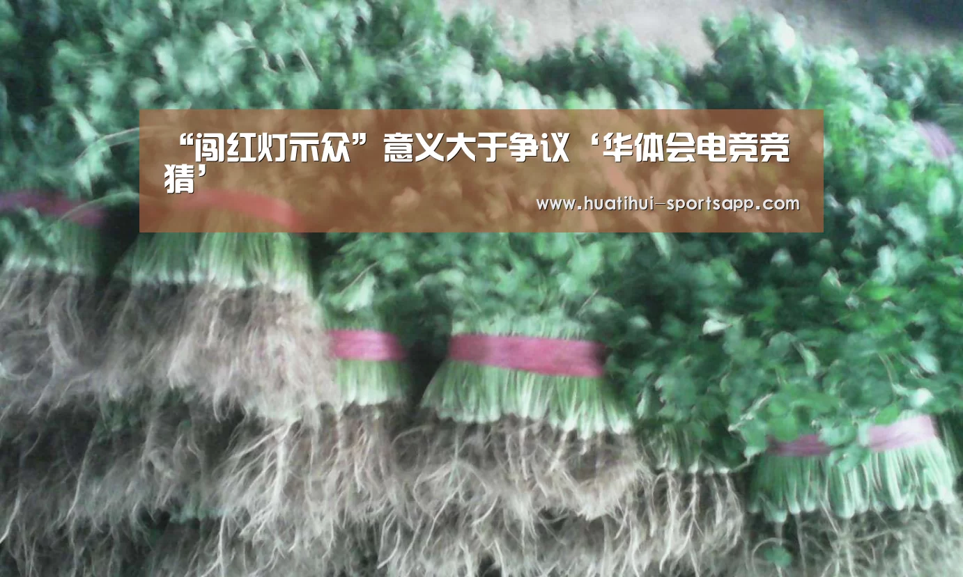 “闯红灯示众”意义大于争议‘华体会电竞竞猜’