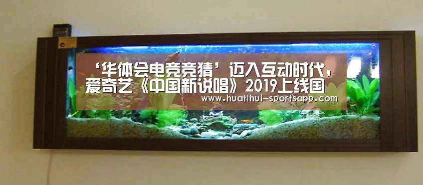 华体会电竞直播